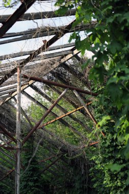 Kırık çatılı ve ağaçlı terk edilmiş bir bina