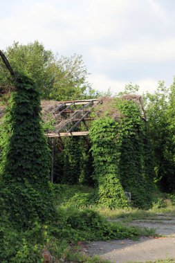 Ukrayna 'da yıkılmış bir binanın kalıntıları. Bir seranın çerçeve binası