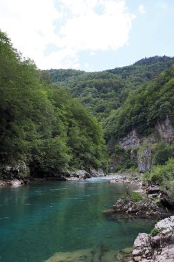 Tara Montenegro nehrinin güzel manzara kanyonu
