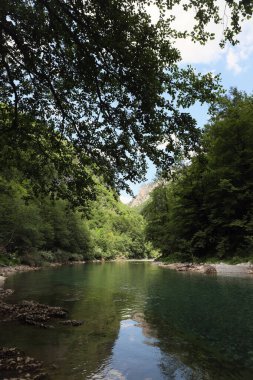 Dağ nehrinin güzel manzarası
