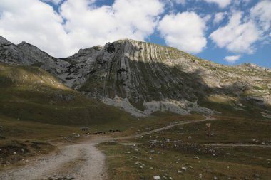 Berg Prutas Dağı manzarası, dikey fotoğraf, manzara. Karadağ, Durmitor Ulusal Parkı