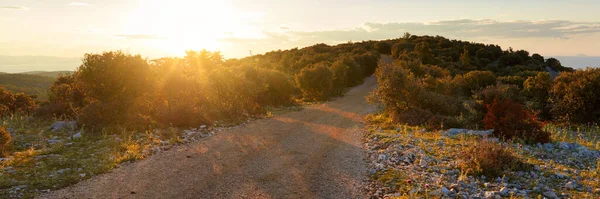 Sun Sets Country Road Mediterranean Vegetation — Stock Photo, Image