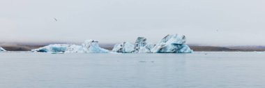 İzlanda 'da bir buzdağı. Jokulsarlon gölüne akan bir buzdağı, buzulun ön tarafından ayrılmış..