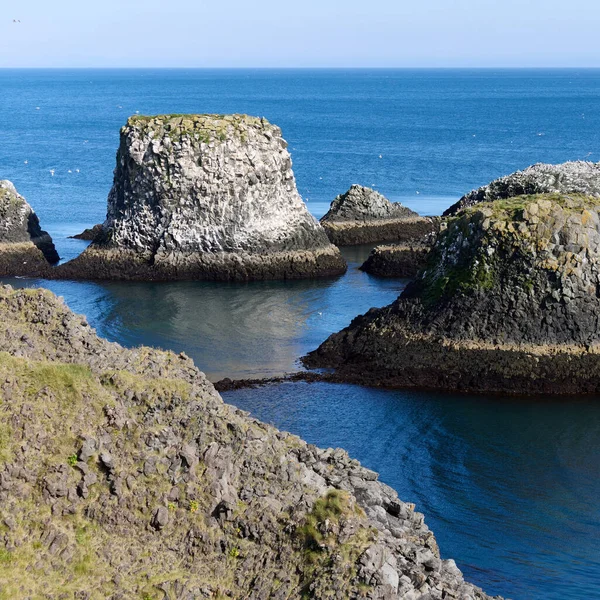 Iceland. Arnarstapi - picturesque volcanic rock cliffs on the Snaefellsnes peninsula. Habitat of seagulls.