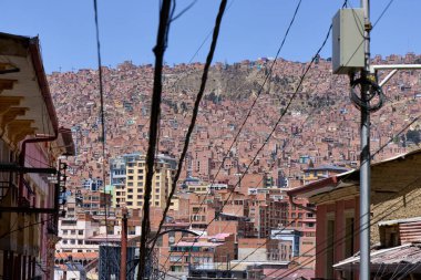 Renkli yosun ve taşlar Snfellsjkull yakınlarındaki İzlanda 'nın engebeli arazisini kaplıyor. Dinamik manzara, temiz bir gökyüzü altında bölgenin jeolojik çeşitliliğini vurguluyor.