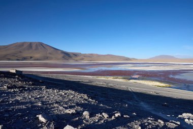 Bolivya 'daki Eduardo Avaroa Ulusal Parkı' nda kırmızı suları ve tuzlu düzlükleri olan renkli Laguna Colorada. Arkadaki volkanik dağlar berrak mavi gökyüzünün altında.