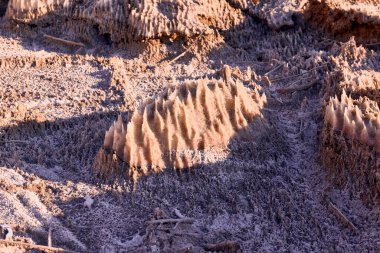 Ürdün 'deki Ölü Deniz kıyısında minyatür dikitlere benzeyen eşsiz tuz oluşumları. Kristalize edilmiş mineraller katı tuzlu suyun buharlaşmasıyla oluşan sivri yapılarla gerçeküstü bir manzara yaratırlar.