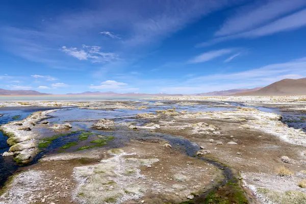 Bolivya 'daki Avaroa Ulusal Parkı, açık mavi gökyüzü altında, eşsiz ekolojik güzelliğini ön plana çıkaran sarmal akıntılar ve çeşitli arazilerle çarpıcı doğal oluşumlara sahiptir..