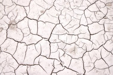 Kuru bir manzara, yetersiz yağış ve uzun süren kuraklığın etkisini ortaya çıkararak toprağı çatlattığını gösteriyor. Güneş ışığı, yerde oluşan karmaşık desenleri vurgular.