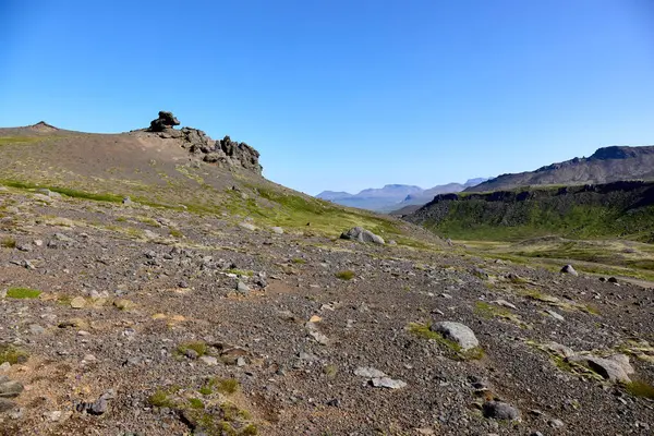 Bitkilerle kaplı lezzetli bir pizza, Islandia 'da bir kafede altın bir içecekle eşleştirilir.