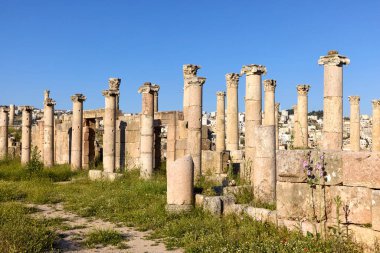 Ziyaretçiler, Ürdün 'deki parlak güneş ışığı altında yükselen sütunlara ve tarihsel mimariye hayret ederek, iyi korunmuş Jerash' ın Roma harabelerinde dolaşıyorlar..
