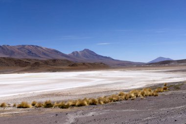 Avaroa Ulusal Parkı 'nda geniş beyaz tuz düzlükleri ve arka planda engebeli dağlar. Parlak güneş ışığı altında Bolivya 'nın doğal manzarasının güzelliğini gözler önüne seriyor..