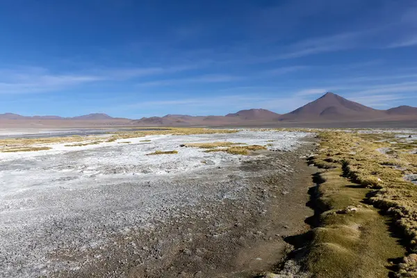 Bolivya 'daki Avaroa Ulusal Parkı boyunca uzanan geniş tuz düzlükleri, yüksek dağlar ve parlak mavi gökyüzünün altındaki yuvarlanan tepelerle çerçevelenmiştir. Benzersiz arazi doğanın güzelliğini yakalar..