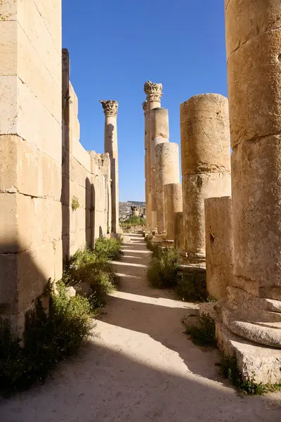 Turistler Jerash 'ın tarihi mekanında dolaşarak, bereketli yeşilliklerle çevrili berrak mavi gökyüzünün altındaki yüksek taş sütunlara ve iyi korunmuş yapılara hayret ediyorlar..