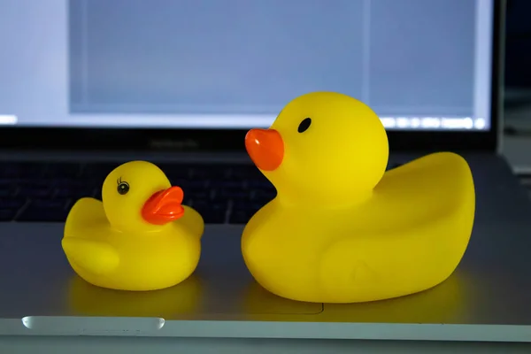 Dizüstü bilgisayarda sarı plastik ördek, hata ayıklama