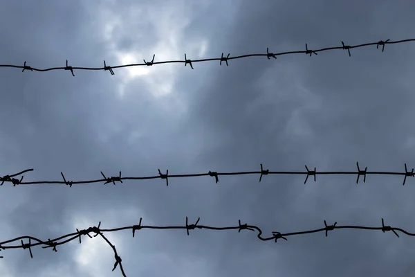 Gergin dikenli teller yoğun kara bulutlara karşı