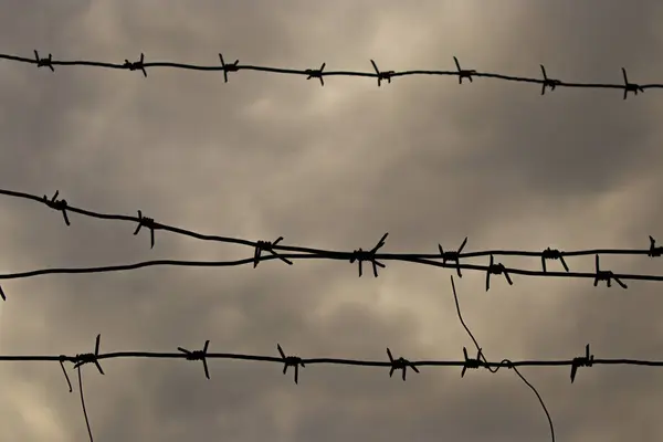 Stock image Tensioned barbed wire against a background of thick dark clouds