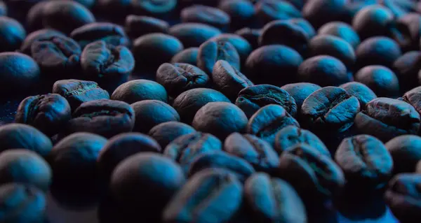 Cyan mavi ışığın altında kahve çekirdekleri yakın çekim