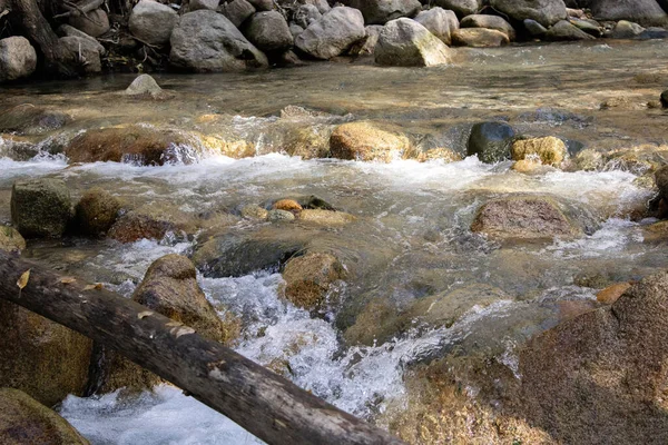Çalkantılı bir dağ nehrinin akıntıları
