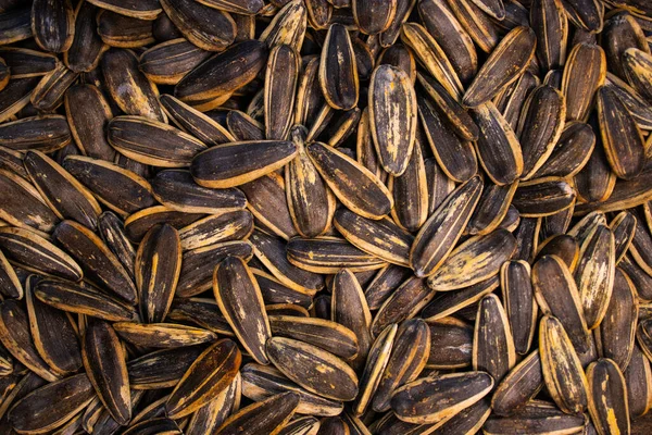 Ayçekirdeğinin arkaplanı, kabuklu tohumlar