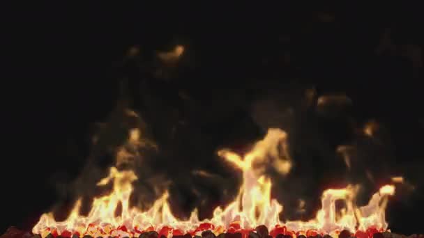 Burning Bonfire Coals Smoke Flames Fire Sparks — Stock Video