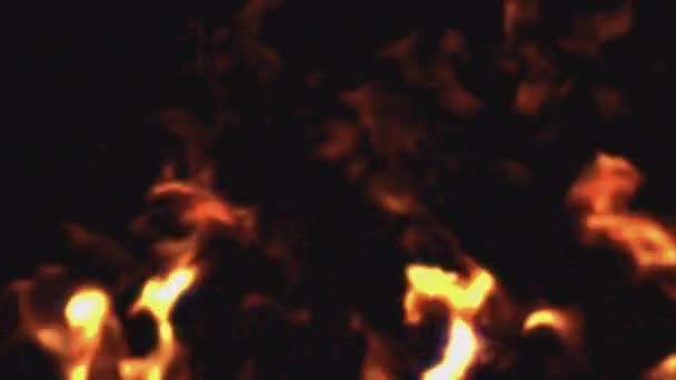 Φωτιά Καπνός Και Φλόγες Διαφανές Φόντο — Αρχείο Βίντεο