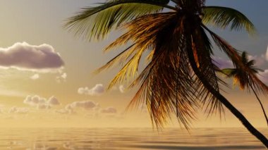 Beautiful sunset over the sea in the tropics with palm trees and clouds.Landscape, nature weekend, vacation and tourism.