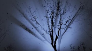 Rays of light through the branches in a dark forest in the fog.