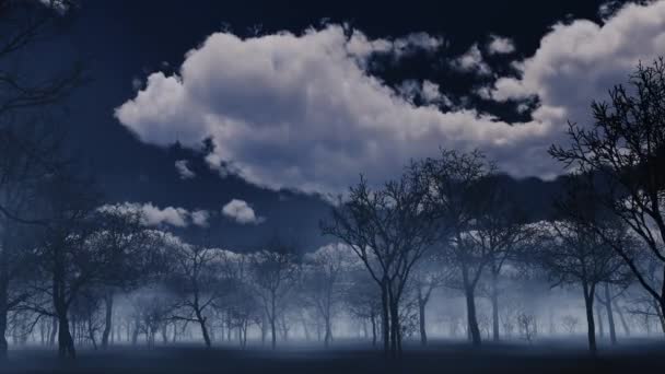 Movement Dark Forest Fog Background Night Clouds — Video