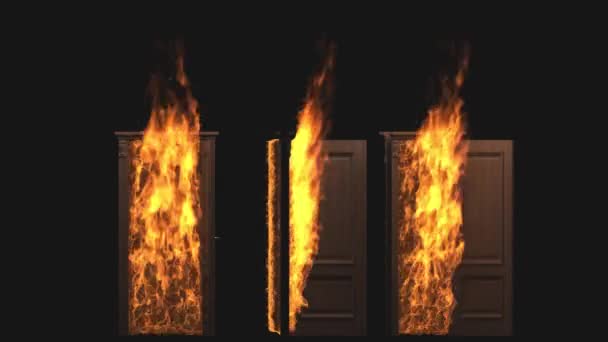 Burning Door Has Opened Fire Burning Transparent Background — Stok video