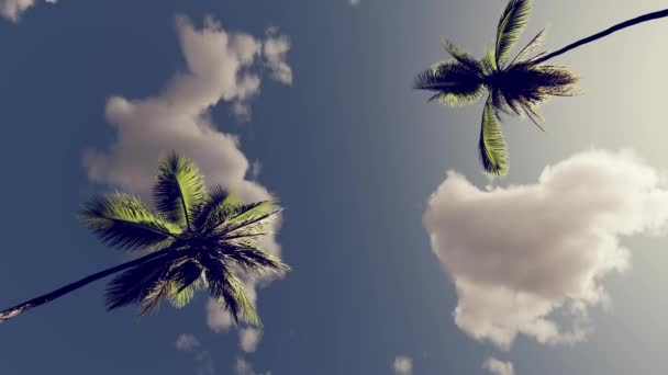 Tropical Landscape Clouds Palm Trees Tourism Journey Vacation Sea — Αρχείο Βίντεο