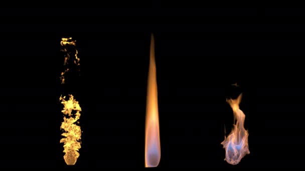 Berbagai Jenis Api Yang Menyala Pada Latar Belakang Transparan — Stok Video