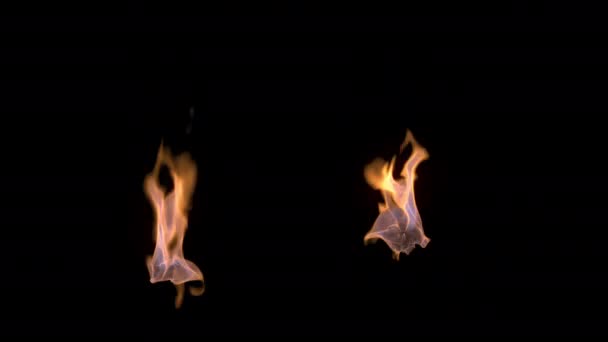 Fire Flame Blazes Burns Transparent Background — ストック動画