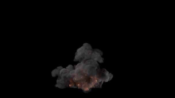 在透明的背景上燃烧燃料的火光转换 — 图库视频影像