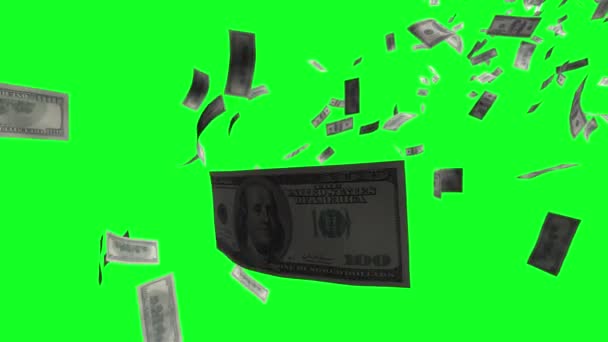 100美元账单的掉落和飞扬 绿色屏幕彩色键和阿尔法通道背景 — 图库视频影像