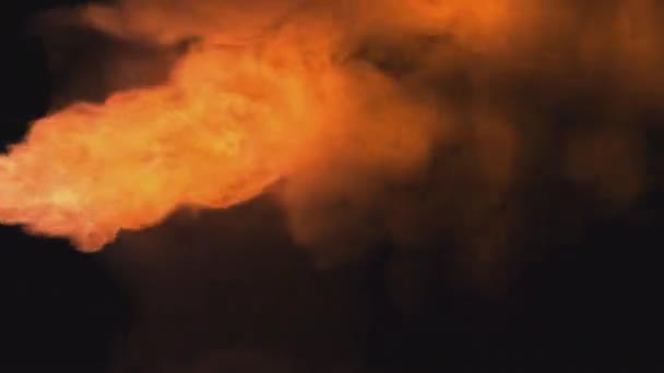 炎の遷移透明な背景に燃料を燃焼炎のブレースと火傷 — ストック動画