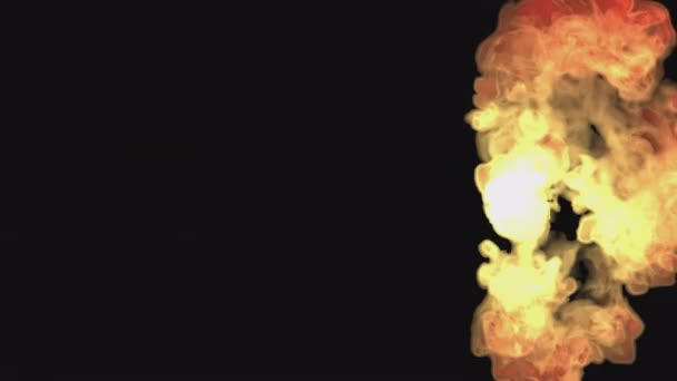 Fire Burns Smokes Transparent Background Fuel Burns Explodes — Stockvideo