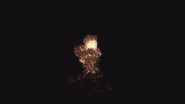 Feuer Brennt Und Raucht Auf Transparentem Hintergrund Brennstoff Verbrennt Und — Stockvideo