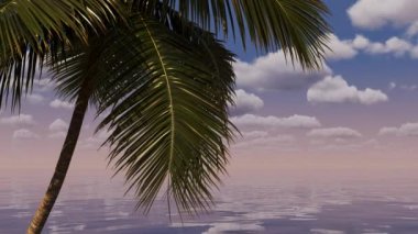 Okyanusta güzel bir gün batımı Palmiye ağaçları ve bulutlarla