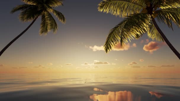 Όμορφο Ηλιοβασίλεμα Στη Θάλασσα Τροπική Παραλία Φοίνικες Ταξίδια Ταξίδια Τουρισμός — Αρχείο Βίντεο