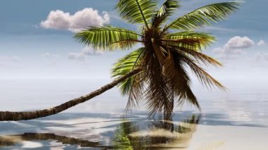 Yazın deniz kenarında palmiye ağacı. Seyahat, seyahat, turizm, tatil, dinlenme..