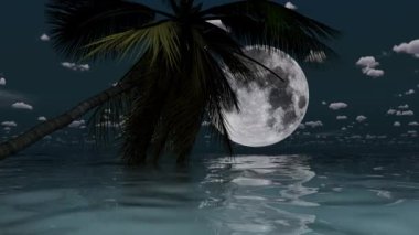 Denizin üzerinde palmiye ağacı ve ay parlıyor.
