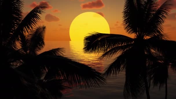 Τεράστιο Ηλιοβασίλεμα Πάνω Από Θάλασσα Τον Ωκεανό Φοίνικες Και Σύννεφα — Αρχείο Βίντεο