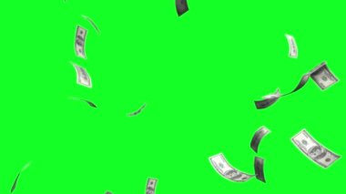 100 dolarlık banknotlar düşüp kalkıyor. Yeşil ekran krom anahtar ve alfa kanal arka planı..