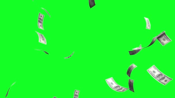Vallende Vliegende Rekeningen Van Honderd Dollar Bills Green Scherm Chroma — Stockvideo