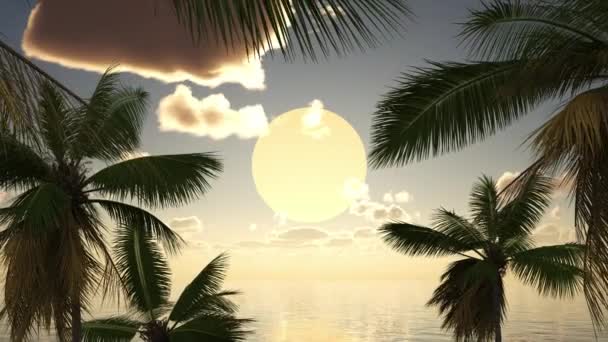 Величезний Захід Сонця Над Морем Або Океаном Пальмами Хмарами Подорожі — стокове відео