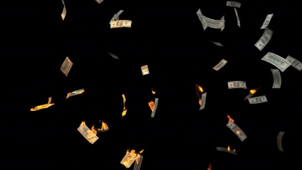 Birçok Yüz Dolarlık Banknotlar Uçar Şeffaf Bir Arka Planda Yanar — Stok video