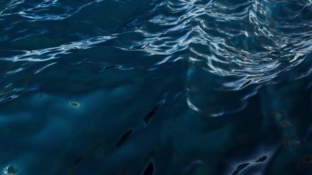 海の嵐の間に美しい 巨大な波 — ストック動画