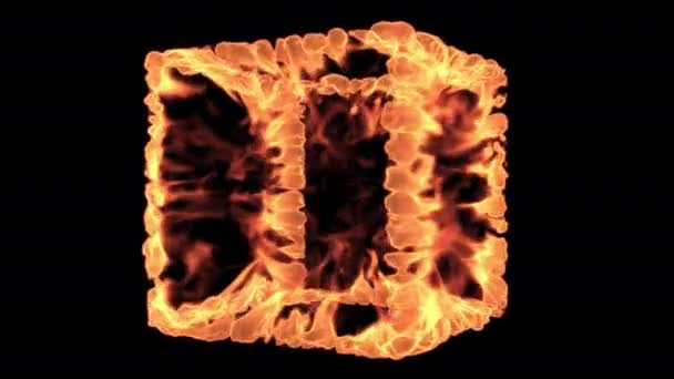 Various Shapes Shapes Transparent Background Alpha Channel Fire Flame Explodes — Stock Video