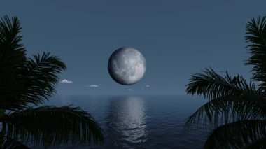 Gece tropikal bir sahilde ay, deniz ve palmiye ağaçları. Seyahat, gezi, turizm, tatil, dinlenme..